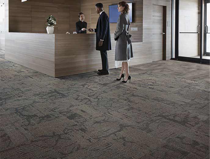 Ground
Global Change Collection
Desert Shadow 9083002