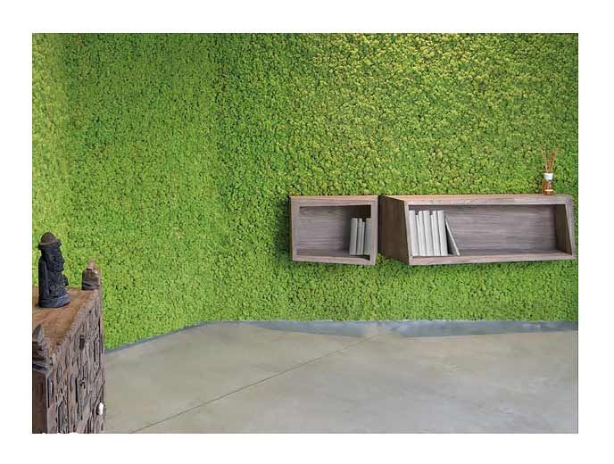 Moss Wall