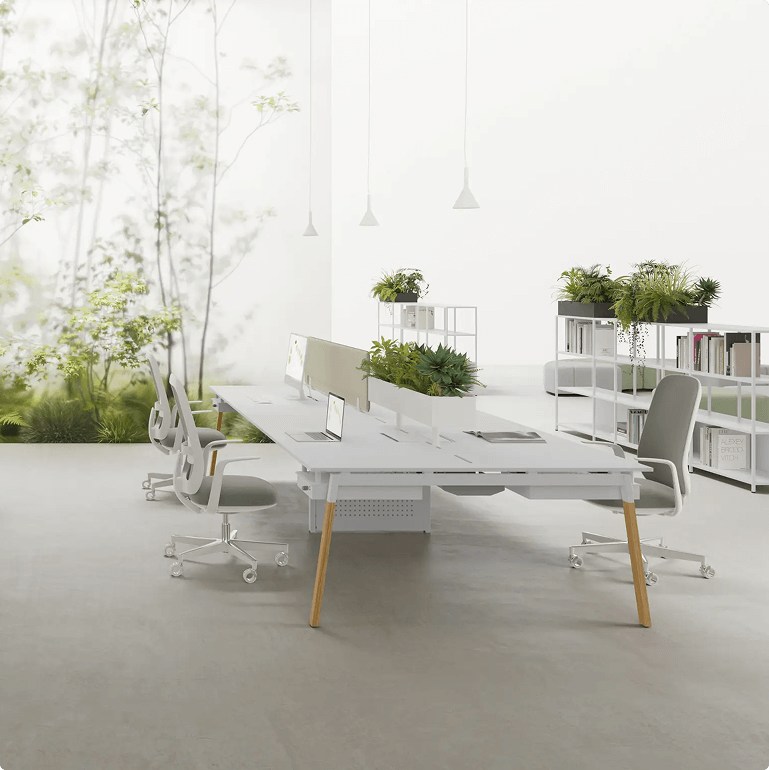 Sustainable Collection 2022