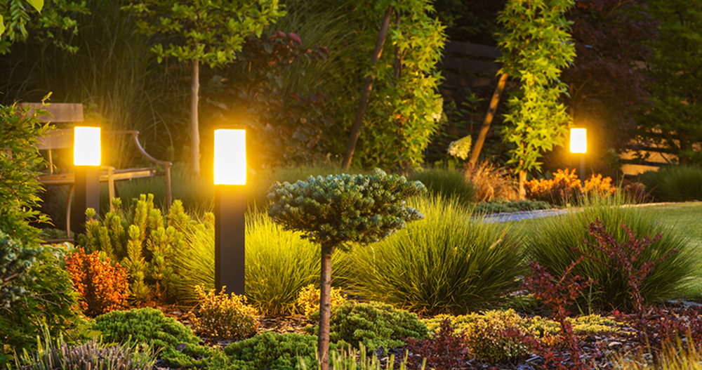 Landscape Lighting
