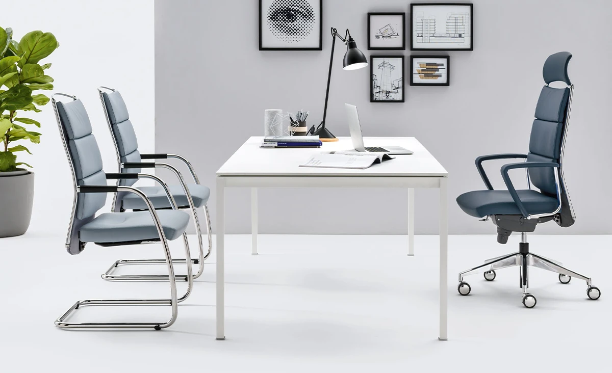 Link Family Collection