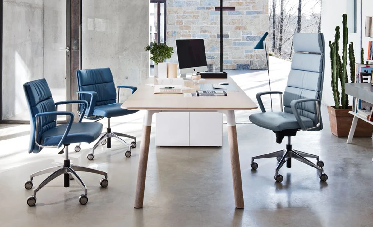 Trendy First Class Collection