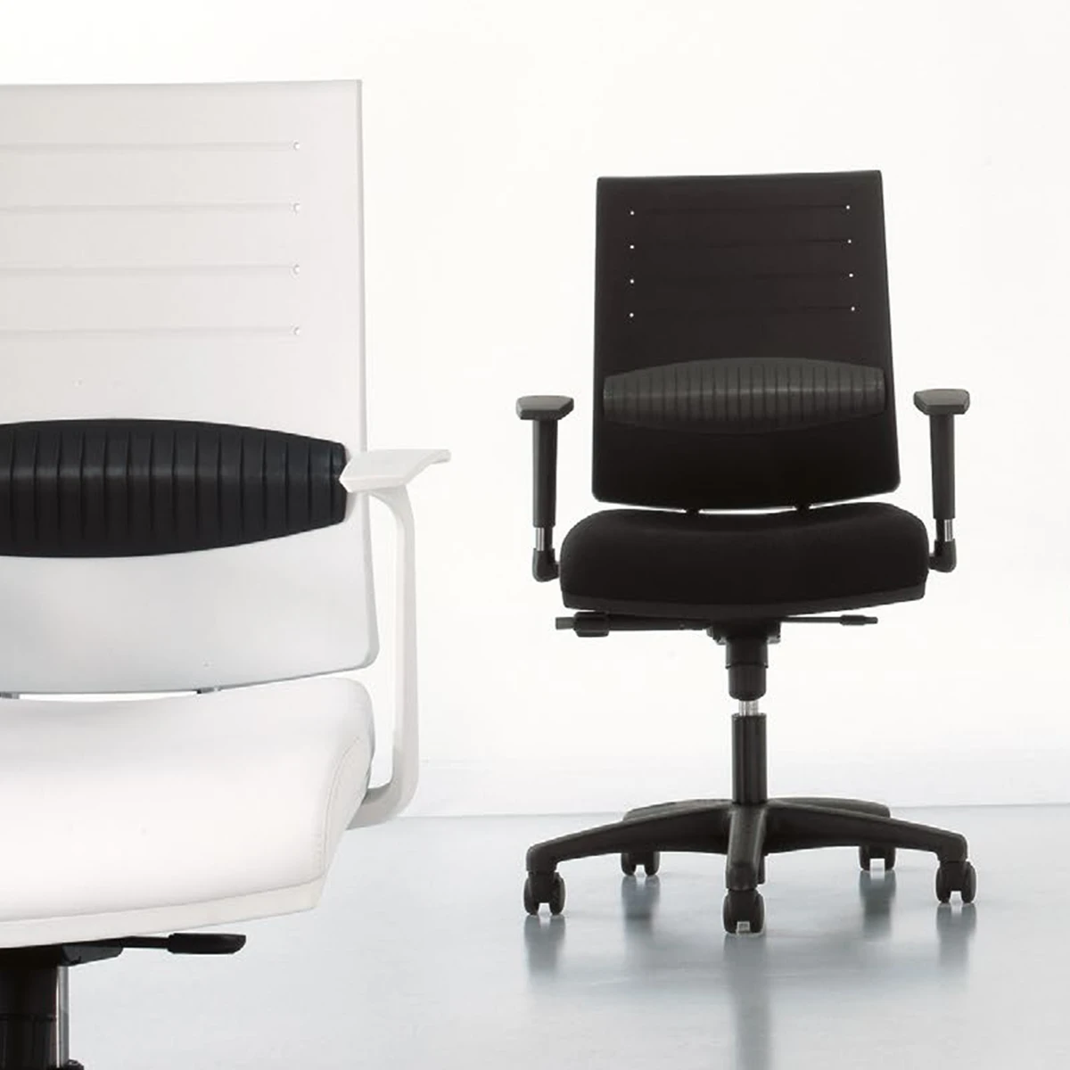 Zero7 Family Collection