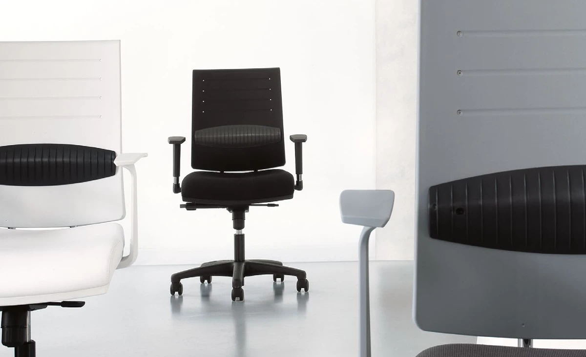 Zero7 Family Collection